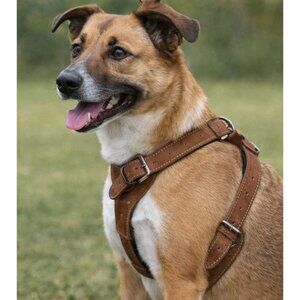 Brown Leather Harness For Dog Medium Size